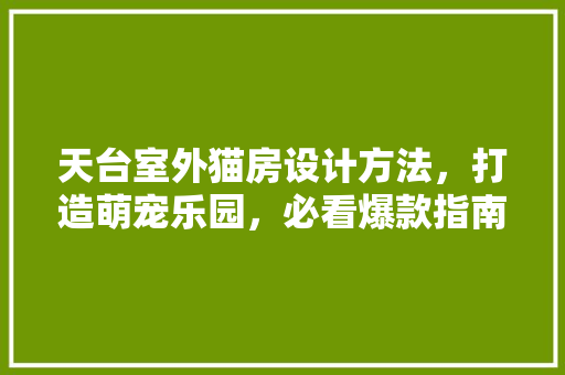 天台室外猫房设计方法，打造萌宠乐园，必看爆款指南！