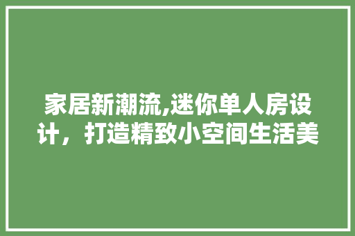 家居新潮流,迷你单人房设计，打造精致小空间生活美学