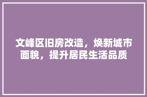 文峰区旧房改造，焕新城市面貌，提升居民生活品质