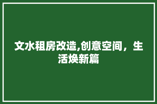 文水租房改造,创意空间，生活焕新篇