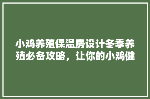 小鸡养殖保温房设计冬季养殖必备攻略，让你的小鸡健康成长！