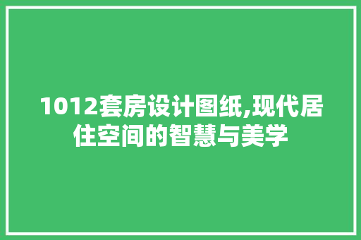 1012套房设计图纸,现代居住空间的智慧与美学