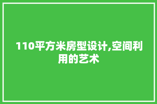 110平方米房型设计,空间利用的艺术