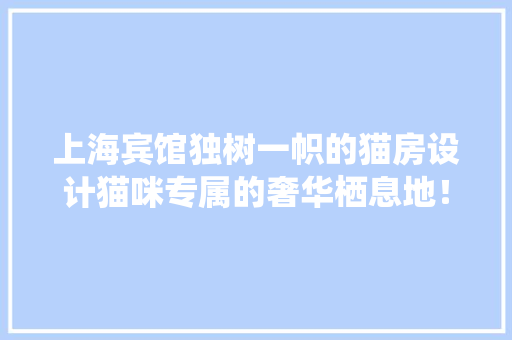 上海宾馆独树一帜的猫房设计猫咪专属的奢华栖息地！