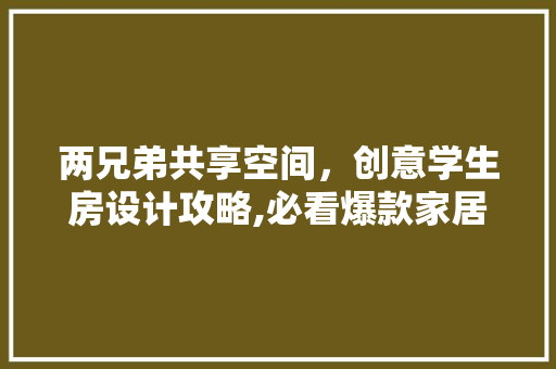 两兄弟共享空间，创意学生房设计攻略,必看爆款家居搭配方法！
