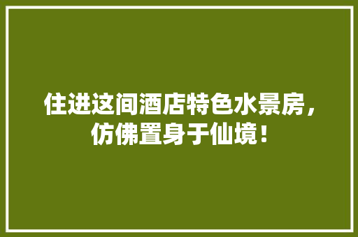 住进这间酒店特色水景房，仿佛置身于仙境！
