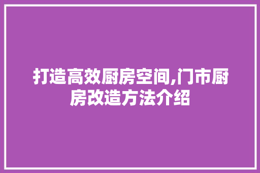 打造高效厨房空间,门市厨房改造方法介绍
