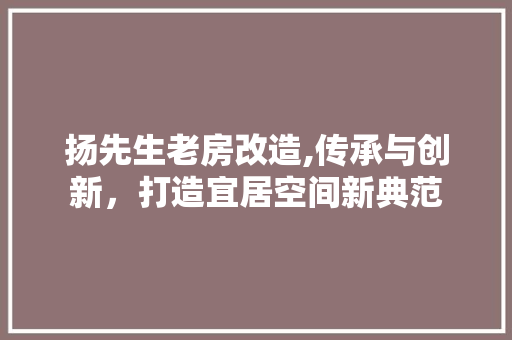 扬先生老房改造,传承与创新，打造宜居空间新典范