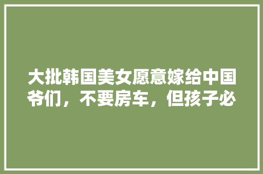 厨房改造,打造现代生活品质空间的艺术