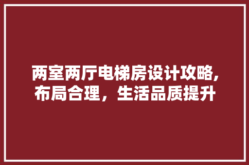 两室两厅电梯房设计攻略,布局合理，生活品质提升