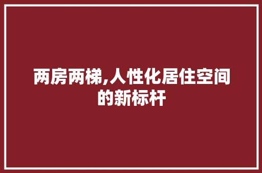 两房两梯,人性化居住空间的新标杆