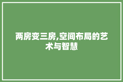 两房变三房,空间布局的艺术与智慧