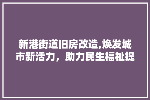 新港街道旧房改造,焕发城市新活力，助力民生福祉提升