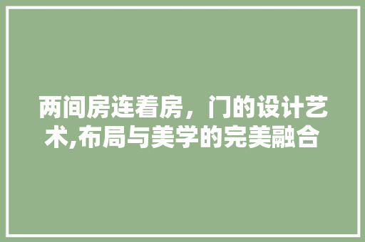 两间房连着房，门的设计艺术,布局与美学的完美融合
