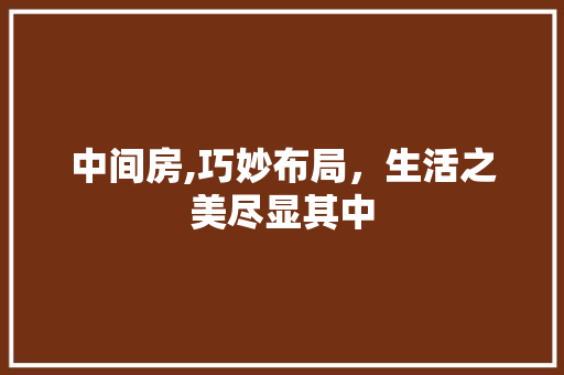 中间房,巧妙布局，生活之美尽显其中