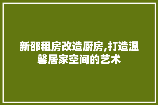 新邵租房改造厨房,打造温馨居家空间的艺术