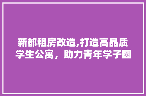 新都租房改造,打造高品质学生公寓，助力青年学子圆梦校园