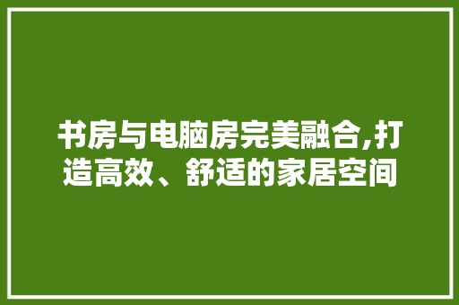 书房与电脑房完美融合,打造高效、舒适的家居空间