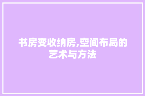 书房变收纳房,空间布局的艺术与方法
