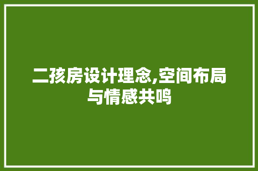 二孩房设计理念,空间布局与情感共鸣
