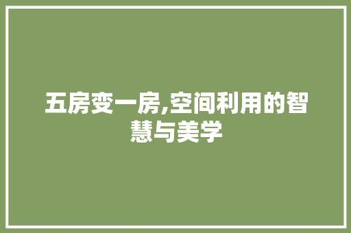 五房变一房,空间利用的智慧与美学