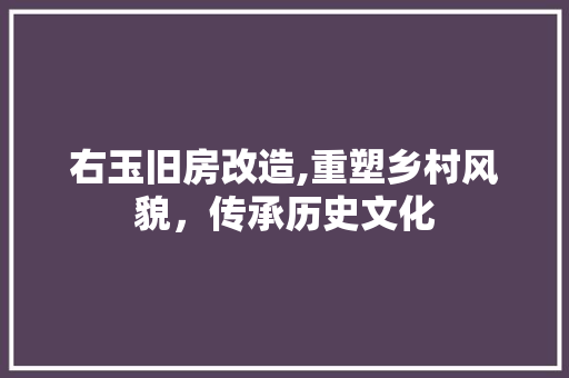 右玉旧房改造,重塑乡村风貌，传承历史文化