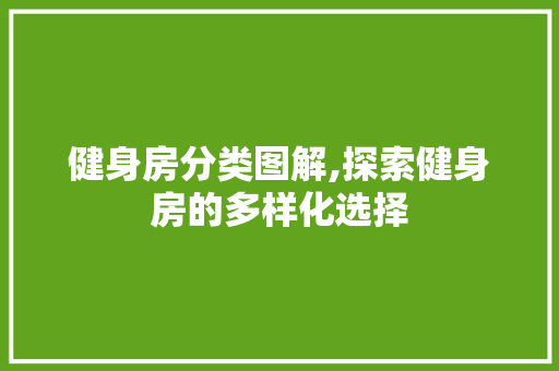 健身房分类图解,探索健身房的多样化选择