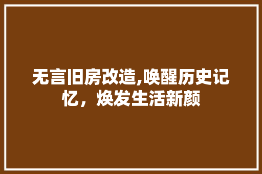 无言旧房改造,唤醒历史记忆，焕发生活新颜