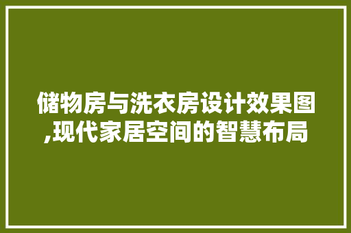 储物房与洗衣房设计效果图,现代家居空间的智慧布局