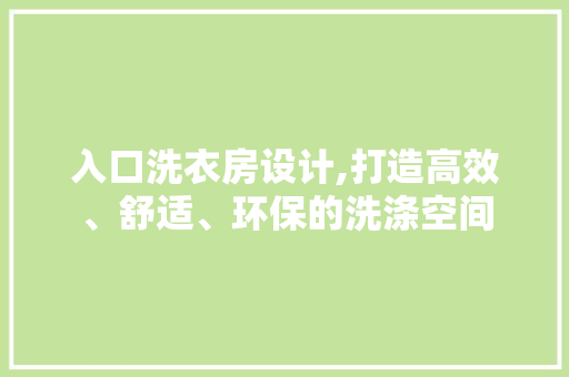 入口洗衣房设计,打造高效、舒适、环保的洗涤空间