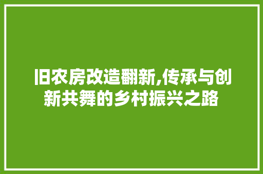 旧农房改造翻新,传承与创新共舞的乡村振兴之路