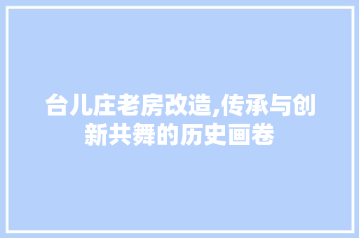 台儿庄老房改造,传承与创新共舞的历史画卷