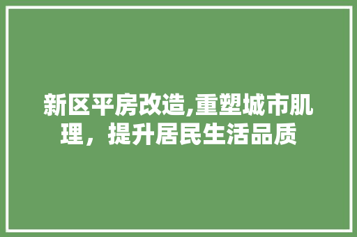 新区平房改造,重塑城市肌理，提升居民生活品质