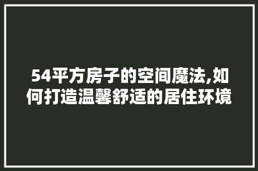 54平方房子的空间魔法,如何打造温馨舒适的居住环境