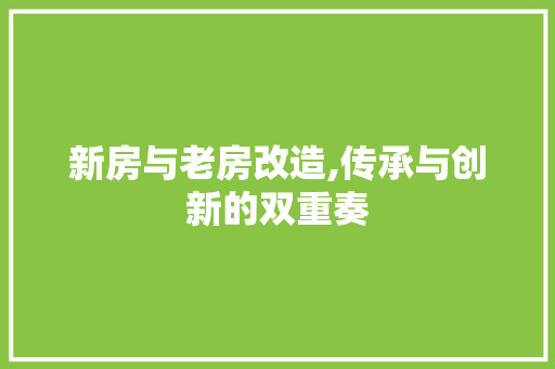 新房与老房改造,传承与创新的双重奏