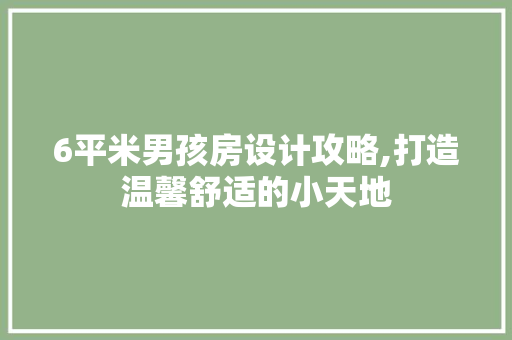6平米男孩房设计攻略,打造温馨舒适的小天地