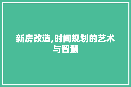 新房改造,时间规划的艺术与智慧