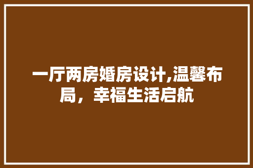 一厅两房婚房设计,温馨布局，幸福生活启航
