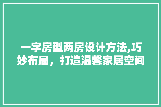一字房型两房设计方法,巧妙布局，打造温馨家居空间