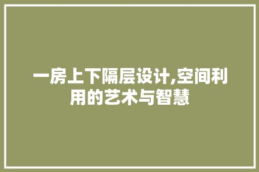 一房上下隔层设计,空间利用的艺术与智慧