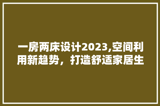 一房两床设计2023,空间利用新趋势，打造舒适家居生活