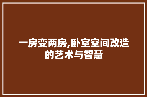 一房变两房,卧室空间改造的艺术与智慧