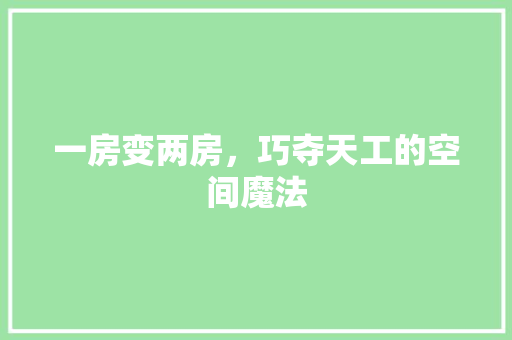 一房变两房，巧夺天工的空间魔法