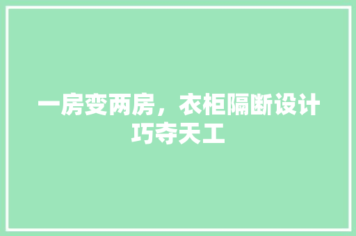 一房变两房，衣柜隔断设计巧夺天工