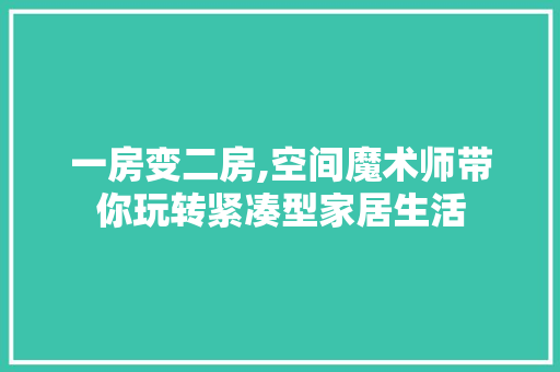 一房变二房,空间魔术师带你玩转紧凑型家居生活