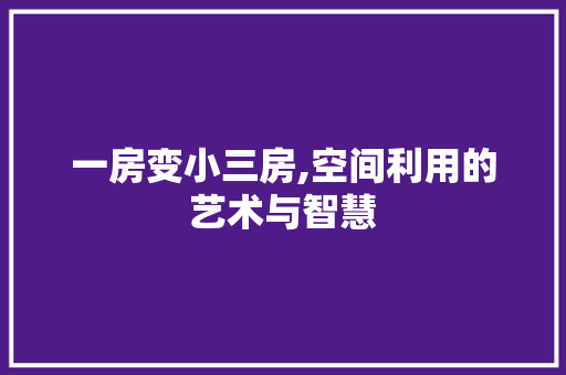 一房变小三房,空间利用的艺术与智慧