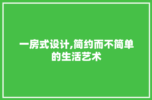 一房式设计,简约而不简单的生活艺术