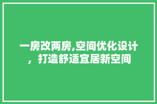 一房改两房,空间优化设计，打造舒适宜居新空间