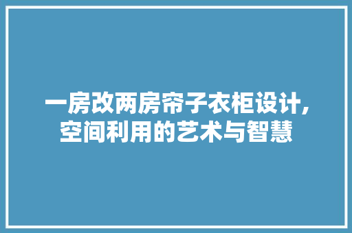 一房改两房帘子衣柜设计,空间利用的艺术与智慧