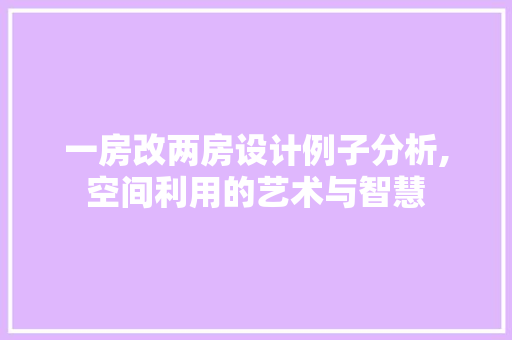 一房改两房设计例子分析,空间利用的艺术与智慧